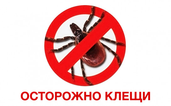 Осторожно клещи